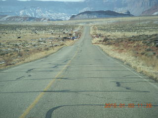 90 8v3. driving from Fisher Towers hike back to Moab - cows