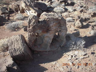 Canyonlands National Park - Lathrop trail hike - cool rocks