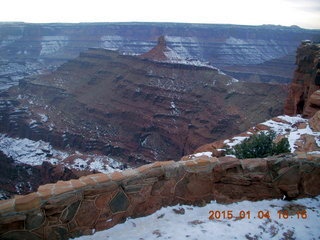 driving in Canyonlands - cow