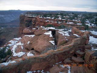 driving to Dead Horse Point - cow