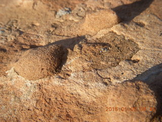 36 8v5. Dead Horse Point State Park hike - bumpy rock up close