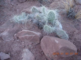 Porcupine Rim mountain-biking trail hike + Adam (tripod and timer)