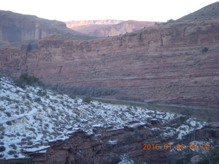 Porcupine Rim mountain-biking trail hike - plants