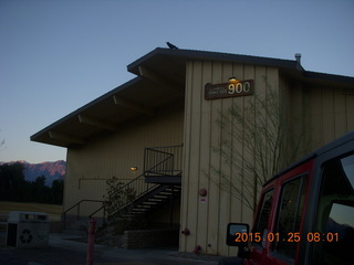 Death Valley hotel, bird