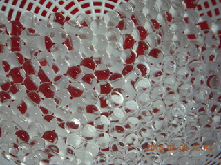 wall at betsy's place