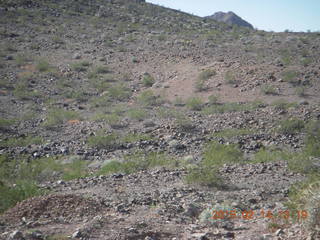 drive back from Desert Bar to Parker