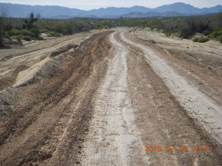 Alamo Lake run