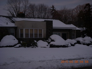 snow topiary