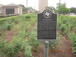 Austin restaurant and pub band