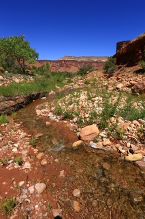 Beaver Creek Canyon hike