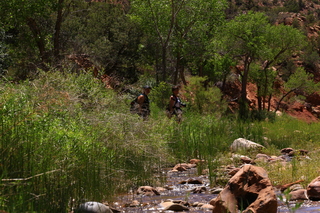 130 8zv. Beaver Creek Canyon hike