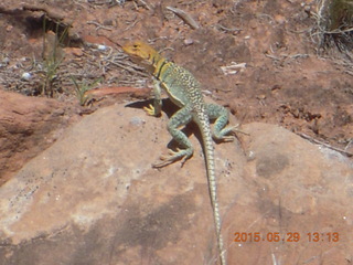 Beaver Creek Canyon hike - Karen M