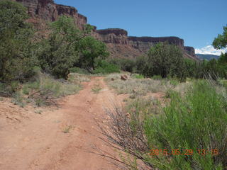 152 8zv. Beaver Creek Canyon hike