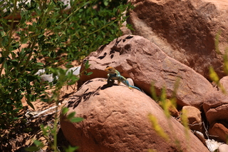 Beaver Creek Canyon hike