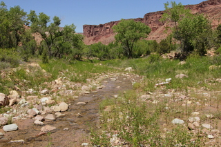 328 8zv. Beaver Creek Canyon hike