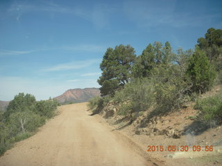 Gateway hike - rabbit