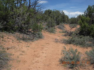 drive to Calamity Mine - very tough side road