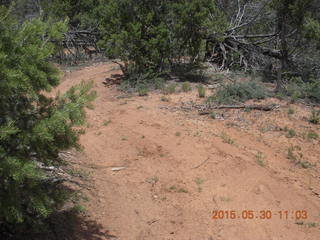 drive to Calamity Mine - very tough side road