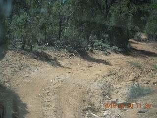 drive to Calamity Mine - very tough side road - our lat-long coordinates