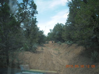 drive to Calamity Mine - very tough side road