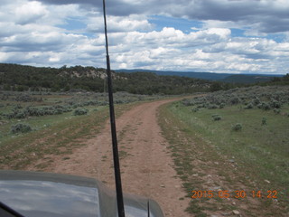 drive to Calamity Mine - fungus