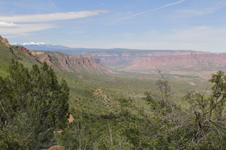 drive from Calamity Mine