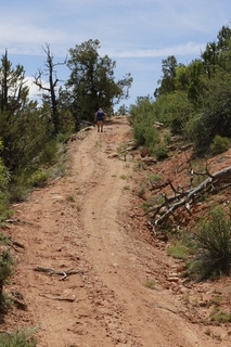 drive to Calamity Mine - difficult side road - truck