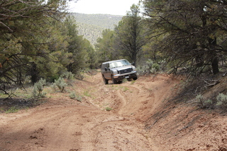 drive to Calamity Mine - difficult side road - flowers