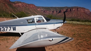 Gateway Canyon airstrip - N8377W + Adam