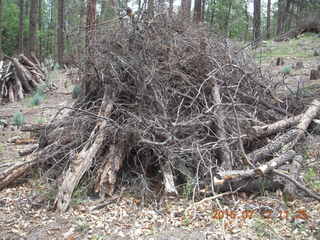 drive to Calamity Mine - very tough side road