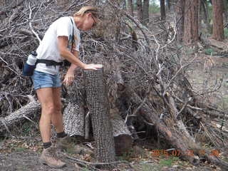 Debbie's and Ted's cabin - Debbie - wood pile