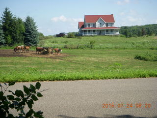 Afton, Minnesota, run - house, field, cows