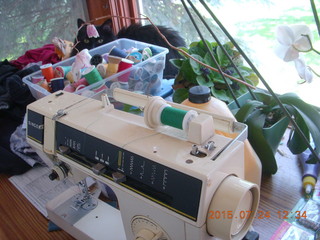 cat Hannah amid sewing supplies