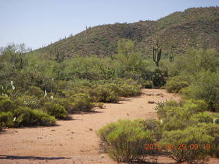 Mystic Bluffs (NM26), New Mexico, run - Adam