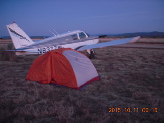 Young International - N8377W and my tent