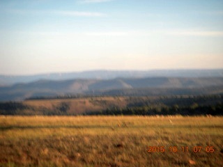 aerial - Buzzard Roost