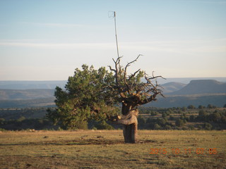 Buzzard Roost airstrip