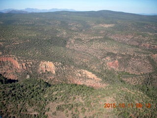 aerial - Buzzard Roost area