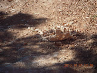 Bryce Canyon - Peek-a-Boo loop - funky round things