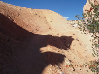 Bryce Canyon - my chosen hoodoo path