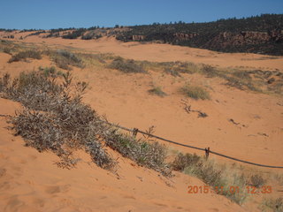 Coral Pink Sand Dunes State Park sign