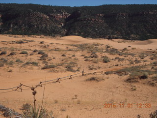 57 951. Coral Pink Sand Dunes State Park