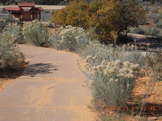 Coral Pink Sand Dunes State Park