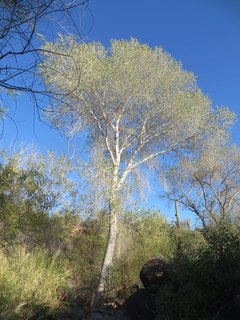 Beth B hike Spur Cross - Beth's pictures