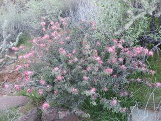 Beth B hike Spur Cross - Beth's pictures - Beth