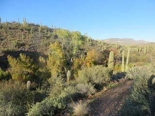 Capitol Steps program - Scottsdale