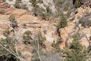 80 972. Zion National Park - Brad's pictures