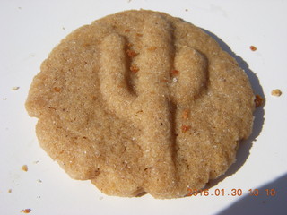 cactus cookie