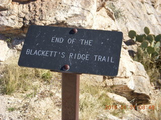 Blackett's Ridge hike summit