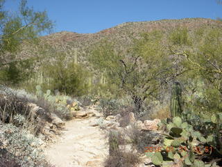 Blackett's Ridge hike
